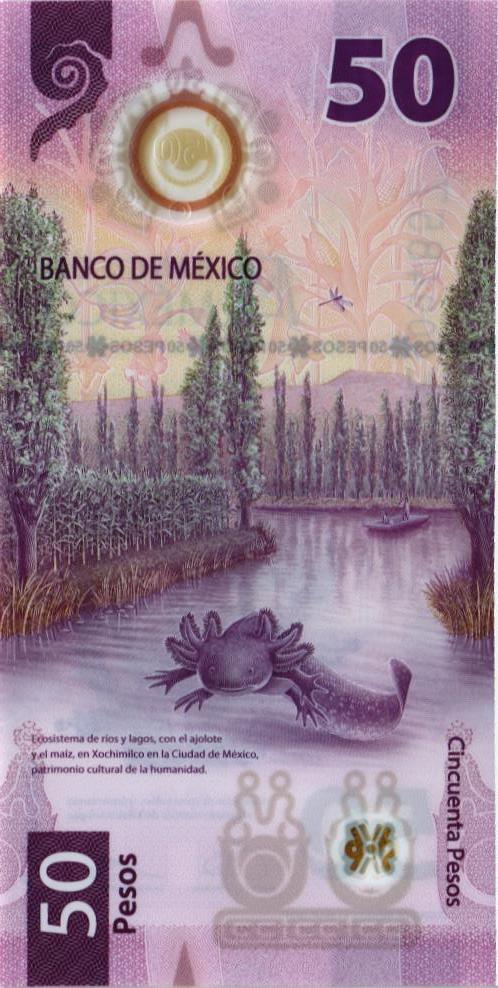МЕКСИКА 50 ПЕСО (31.03.2021) мини 2
