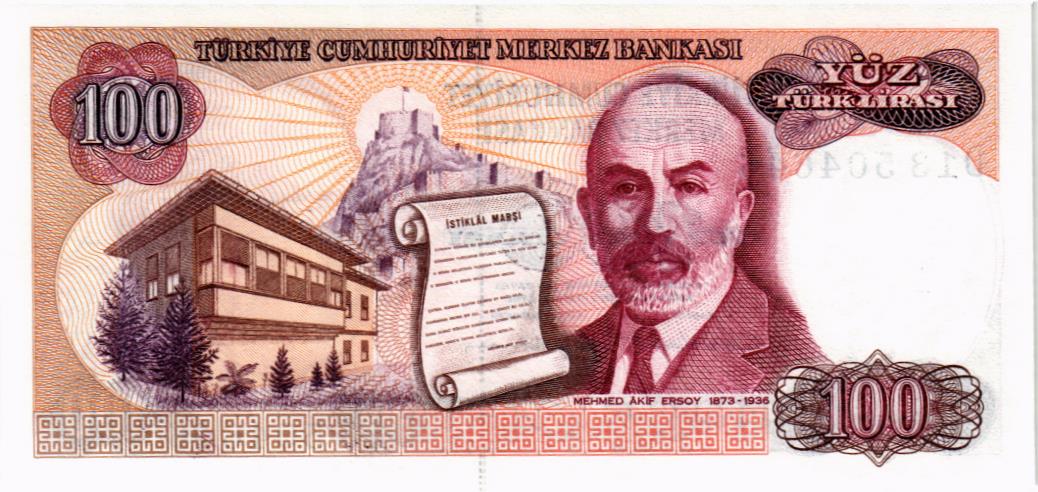 ТУРЦИЯ 100 ЛИР мини 2