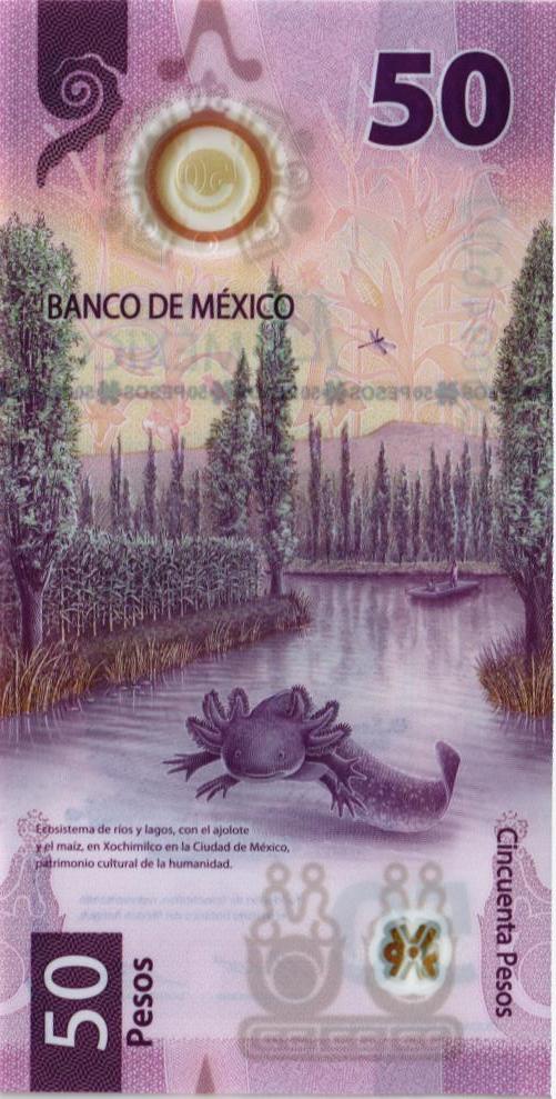 МЕКСИКА 50 ПЕСО (31.03.2021) мини 2