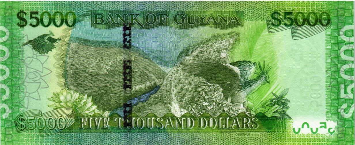 ГАЙАНА 5000 ДОЛЛАРОВ мини 2