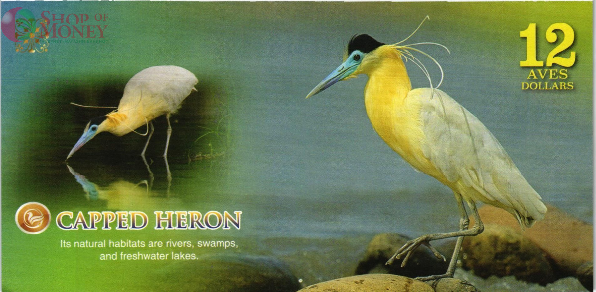 АТЛАНТИЧЕСКИЙ ЛЕС 12 ДОЛЛАРОВ 2