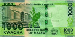 МАЛАВИ 1000 КВАЧА 2