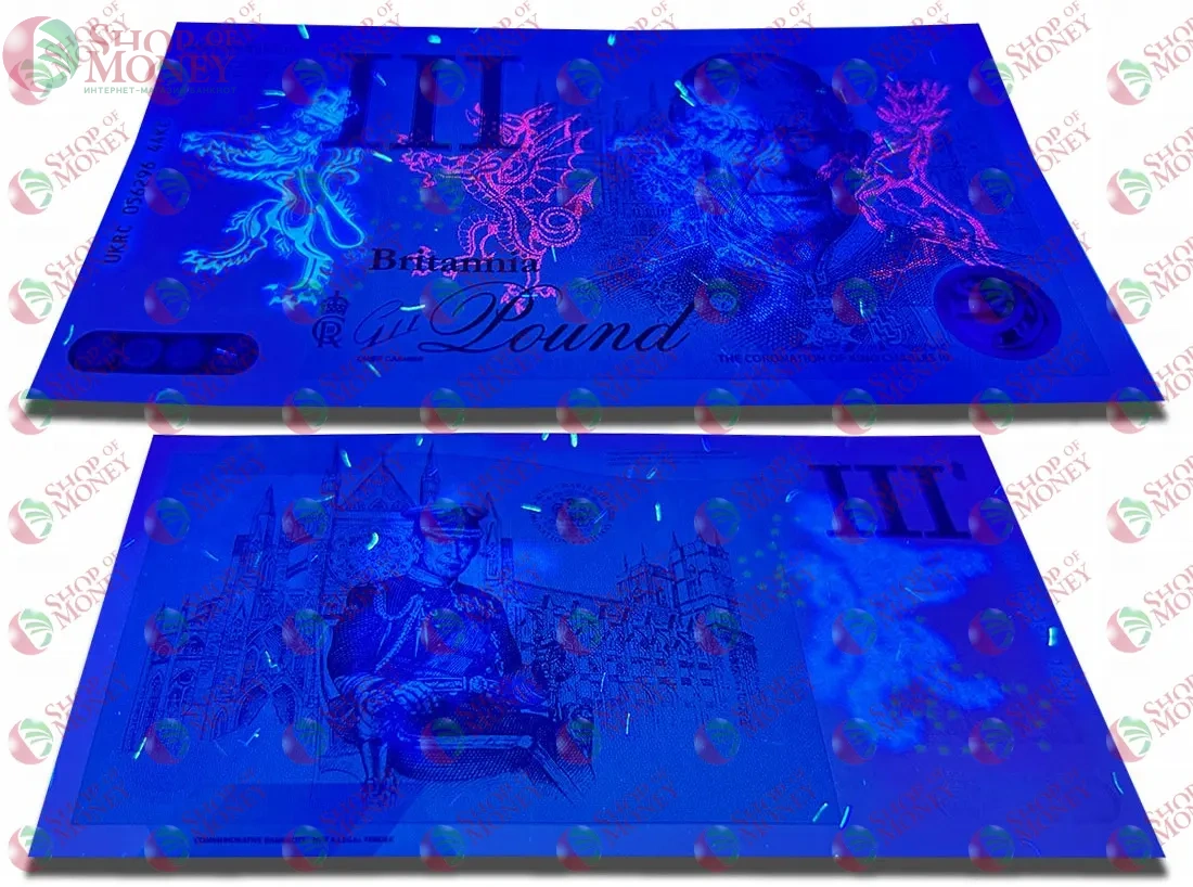 ВЕЛИКОБРИТАНИЯ/АНГЛИЯ 1 ФУНТ (СУВЕНИРНАЯ) 3