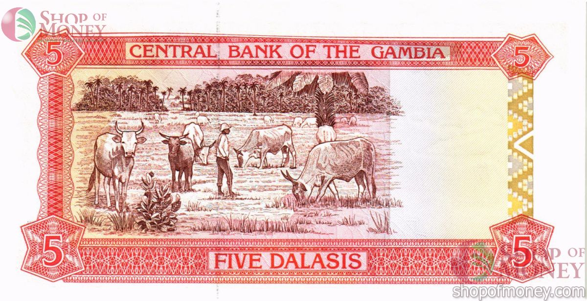 ГАМБИЯ 5 ДАЛАСИ 2