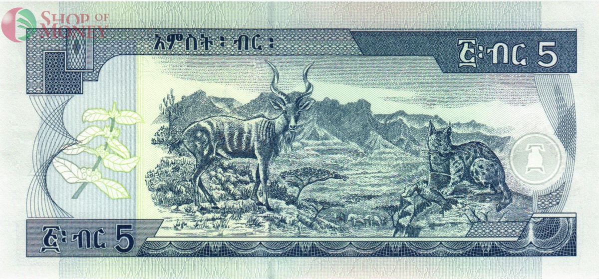 ЭФИОПИЯ 5 БЫР # DJ 7065000 2