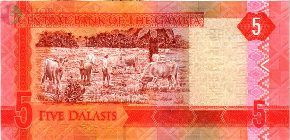 ГАМБИЯ 5 ДАЛАСИ 2