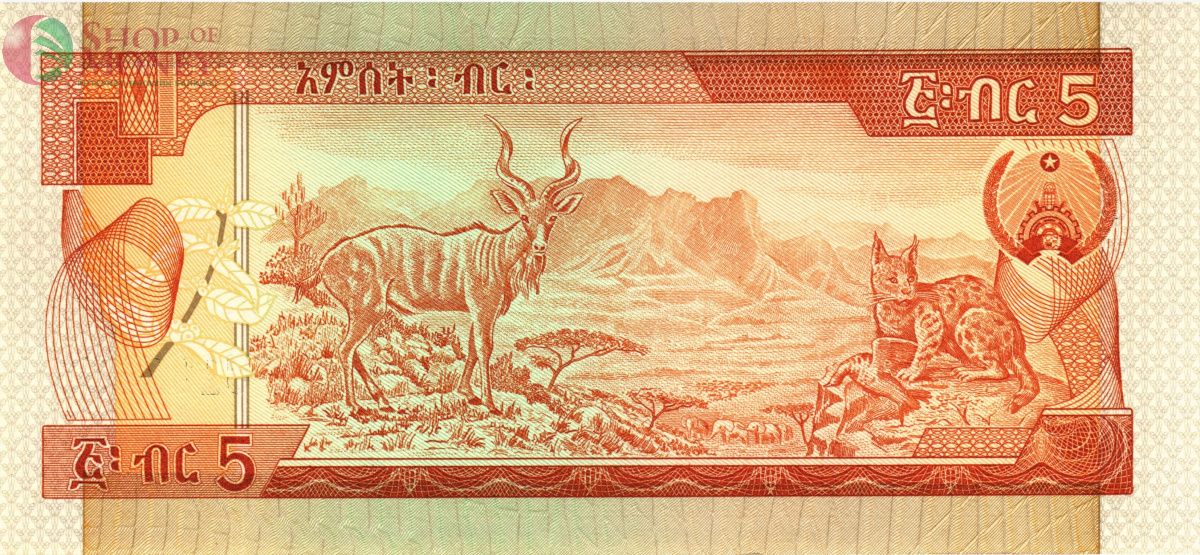 ЭФИОПИЯ 5 БЫР 2