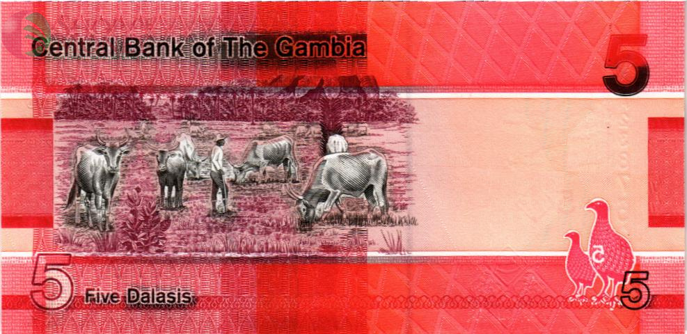 ГАМБИЯ 5 ДАЛАСИ 2