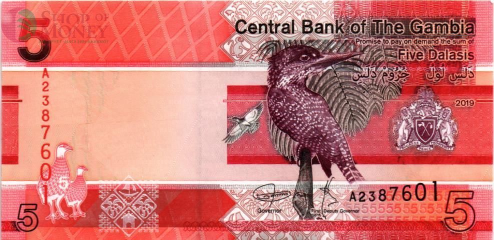 ГАМБИЯ 5 ДАЛАСИ 1