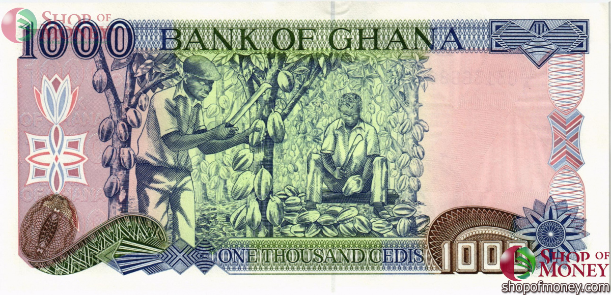 ГАНА 1000 СЕДИ 2