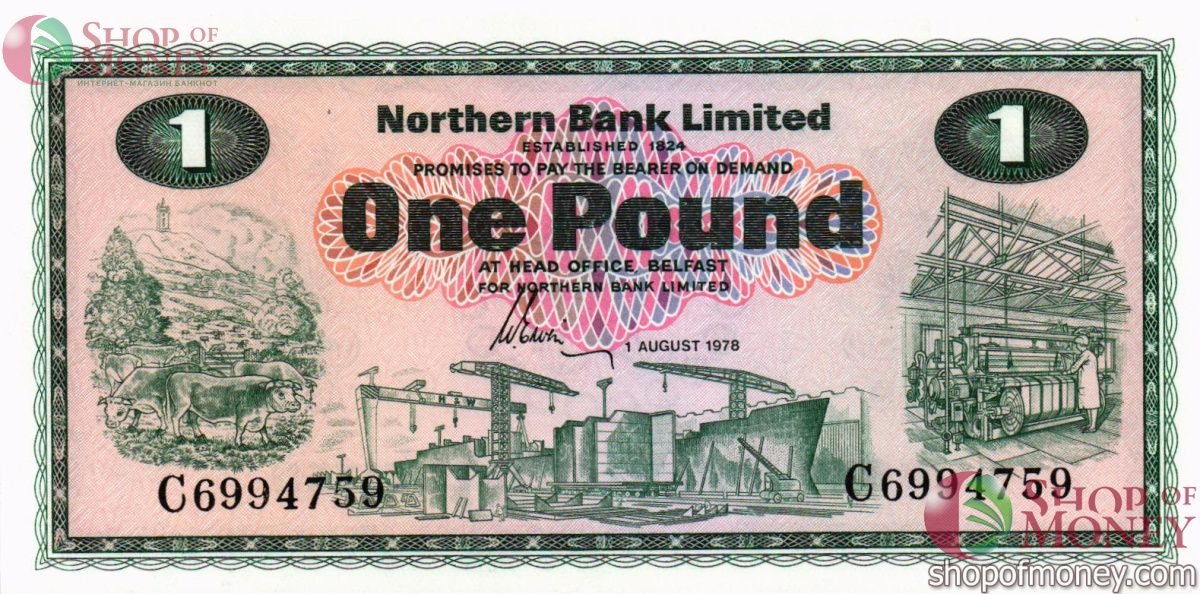 СЕВЕРНАЯ ИРЛАНДИЯ 1 ФУНТ 1