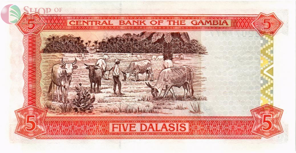 ГАМБИЯ 5 ДАЛАСИ 2