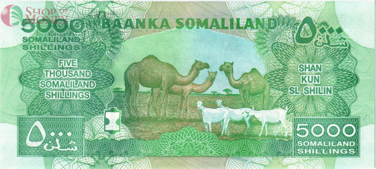 СОМАЛИЛЕНД 5000 ШИЛЛИНГОВ 2