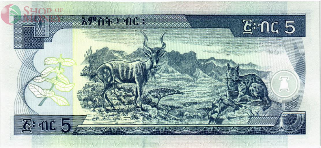 ЭФИОПИЯ 5 БЫР 2