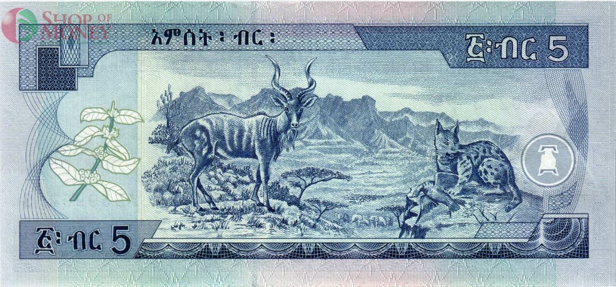 ЭФИОПИЯ 5 БЫР 2