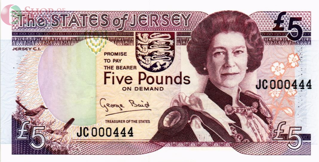 ДЖЕРСИ 5 ФУНТОВ 1