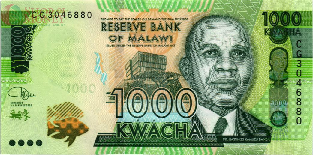 МАЛАВИ 1000 КВАЧА 1