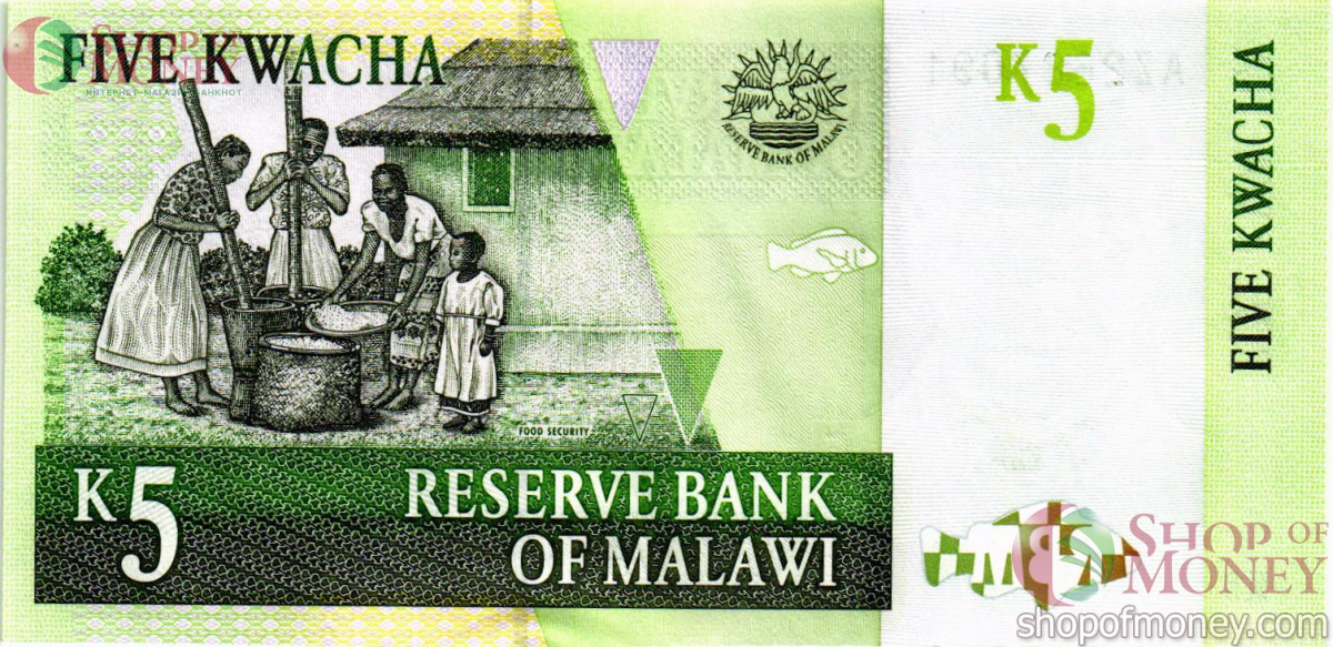 МАЛАВИ 5 КВАЧА 2