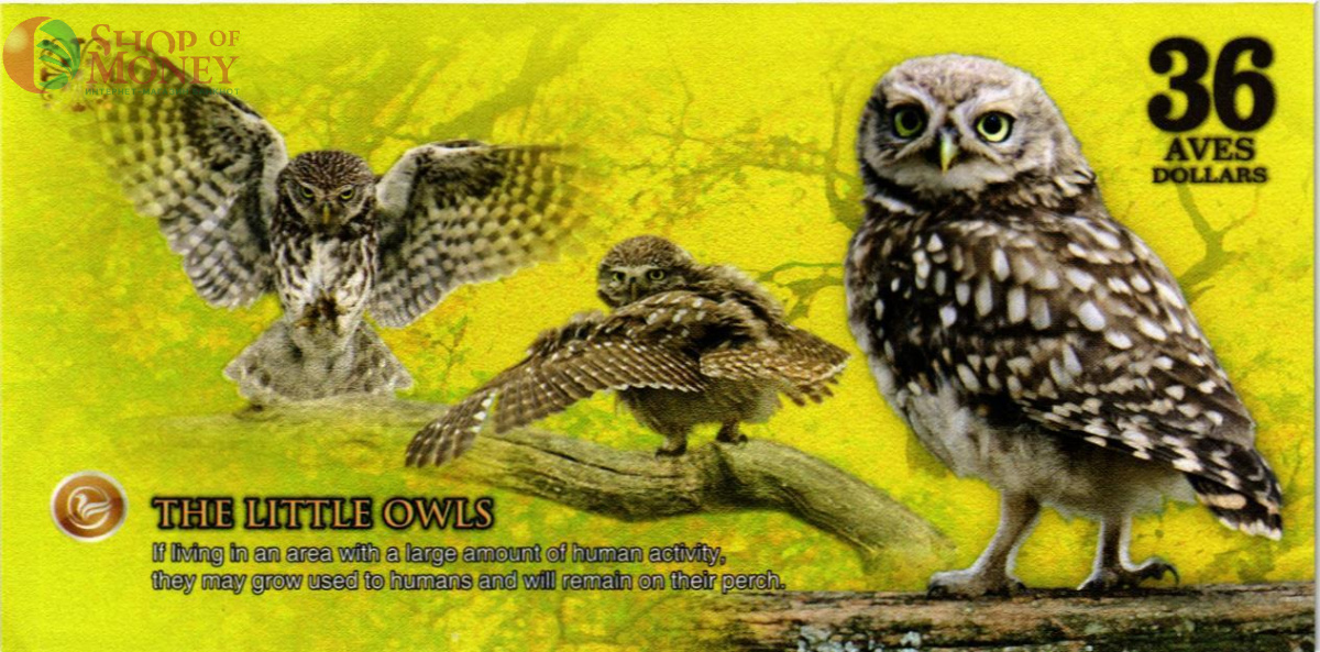 АТЛАНТИЧЕСКИЙ ЛЕС 36 ДОЛЛАРОВ 2