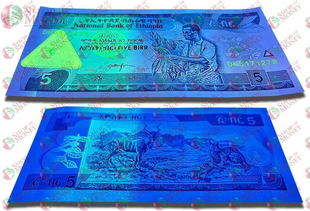 ЭФИОПИЯ 5 БЫР 3